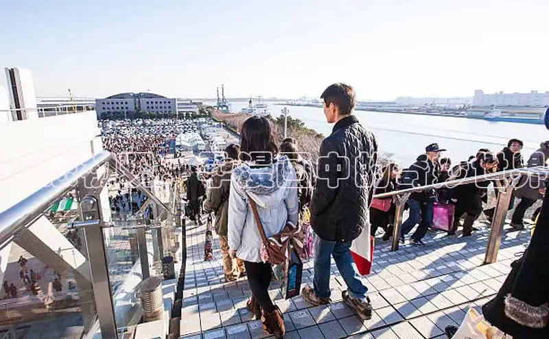 萌态初现：孕漫画中的奇妙世界